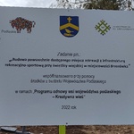 Informacja o realizacji zadania Budowa powszechnie dostępnego miejsca rekreacyjno-sportowego przy świetlicy wiejskiej w miejscowości Brzozówka w ramach PROGRAMU ODNOWY WSI WOJEWÓDZTWA PODLASKIEGO – KREATYWNA WIEŚ